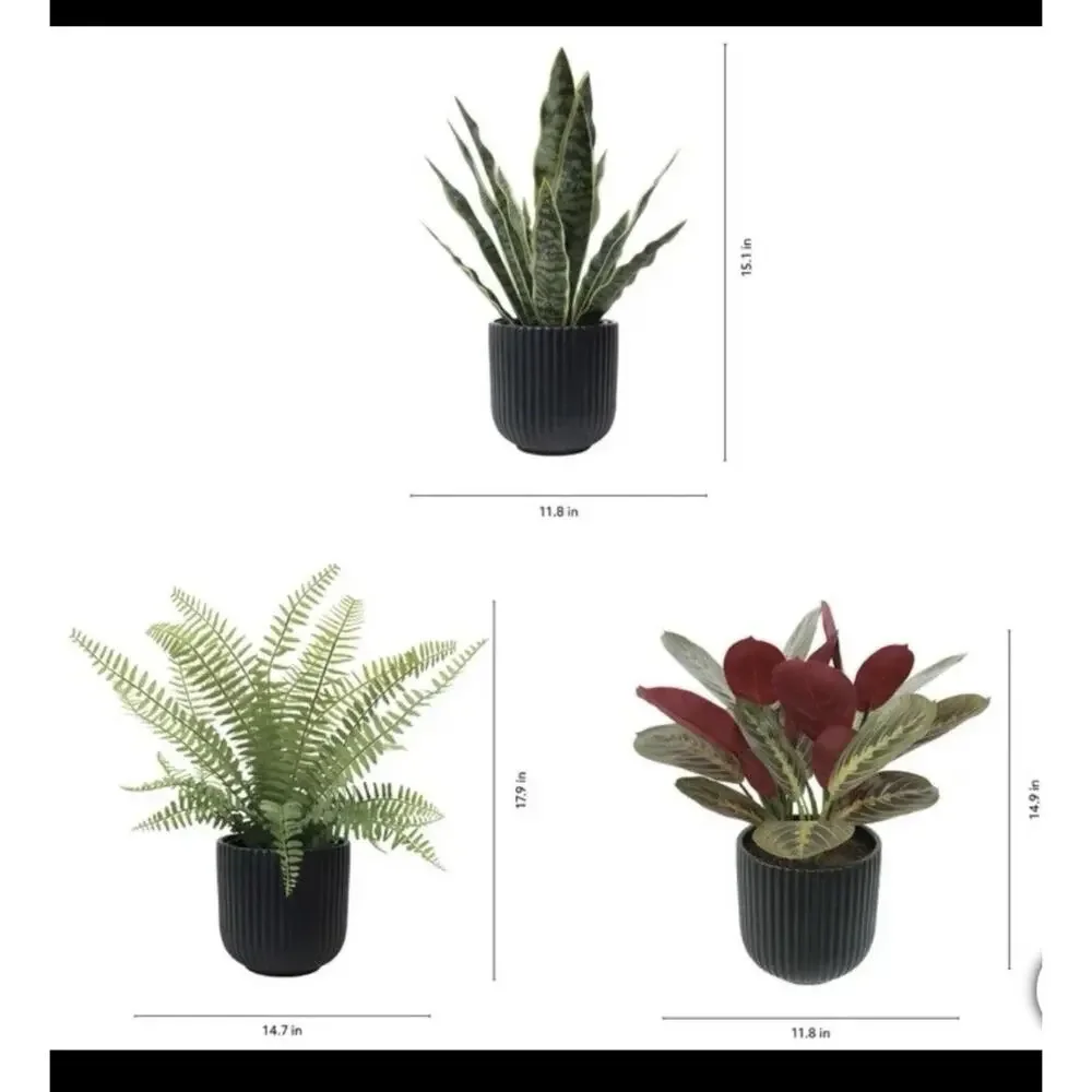 CGH Faux Decorative Plant 3 Pack Snake Fern Prayer Plant Planter Zero Maintenanc